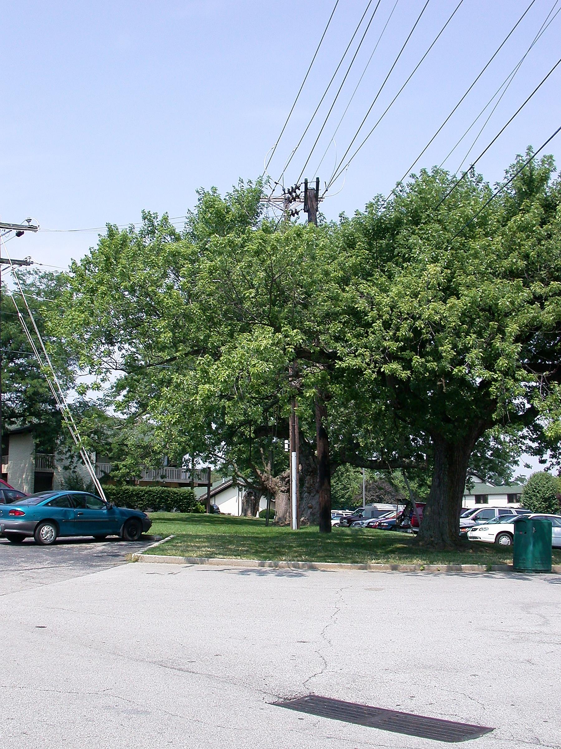 0021_InterurbanRailwayTerminal-RapidRailway-13