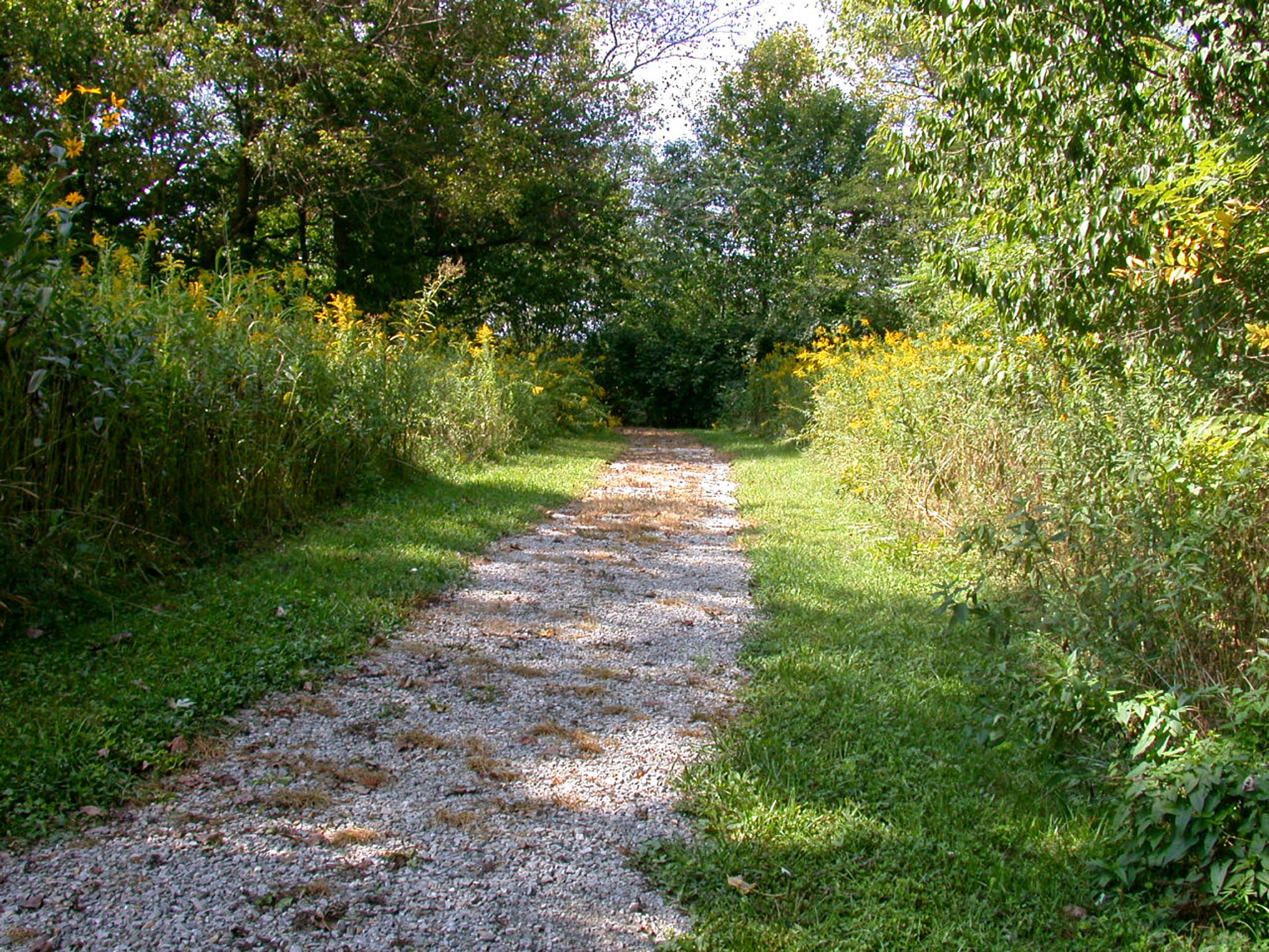 0014_InterurbanRailwayTerminal-SuburbanTraction-1