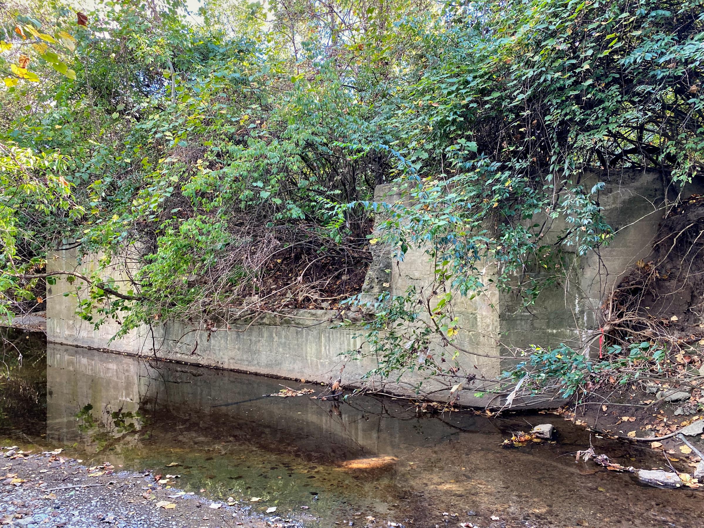 0124_IMG_1870