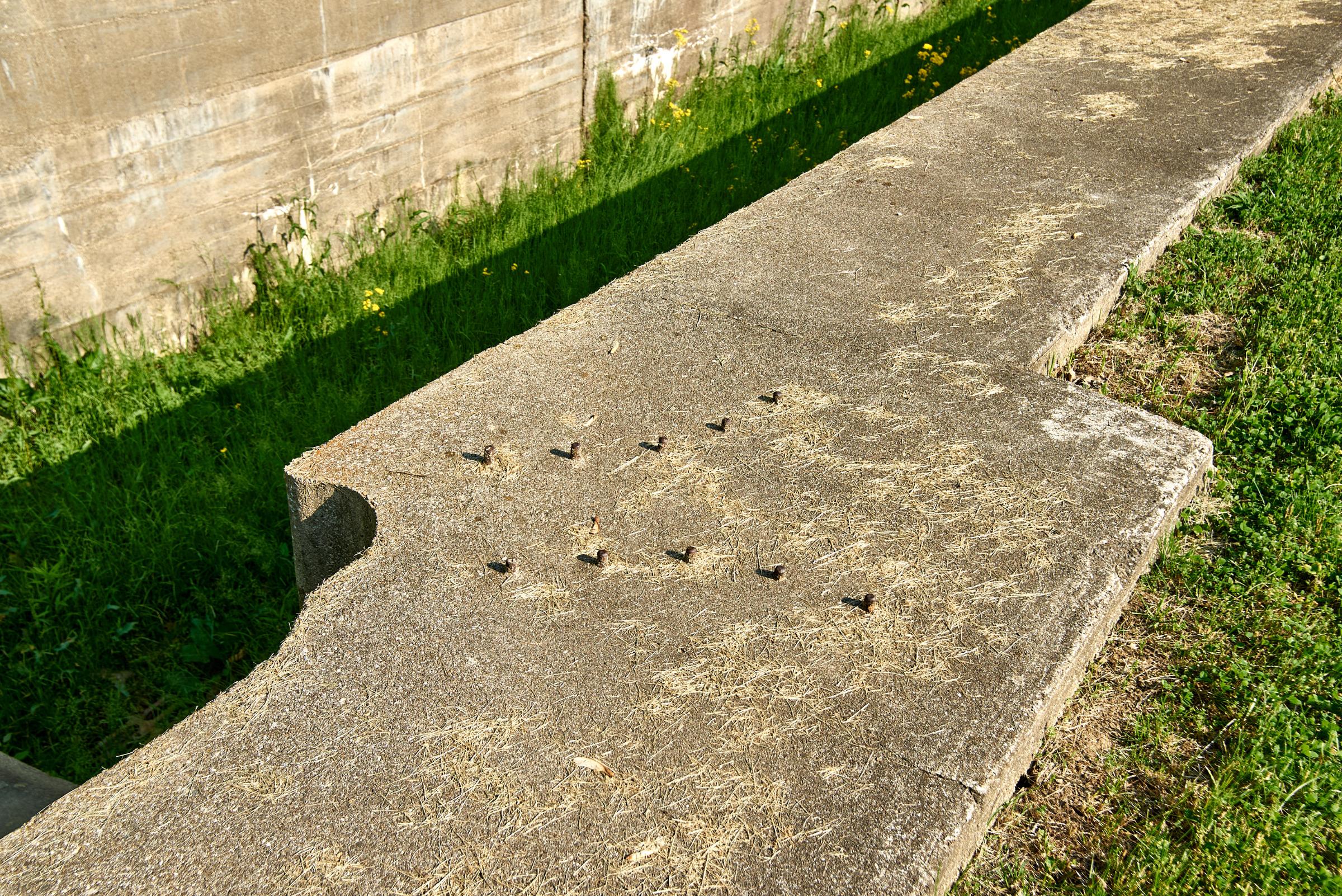 0207_DSC_1496