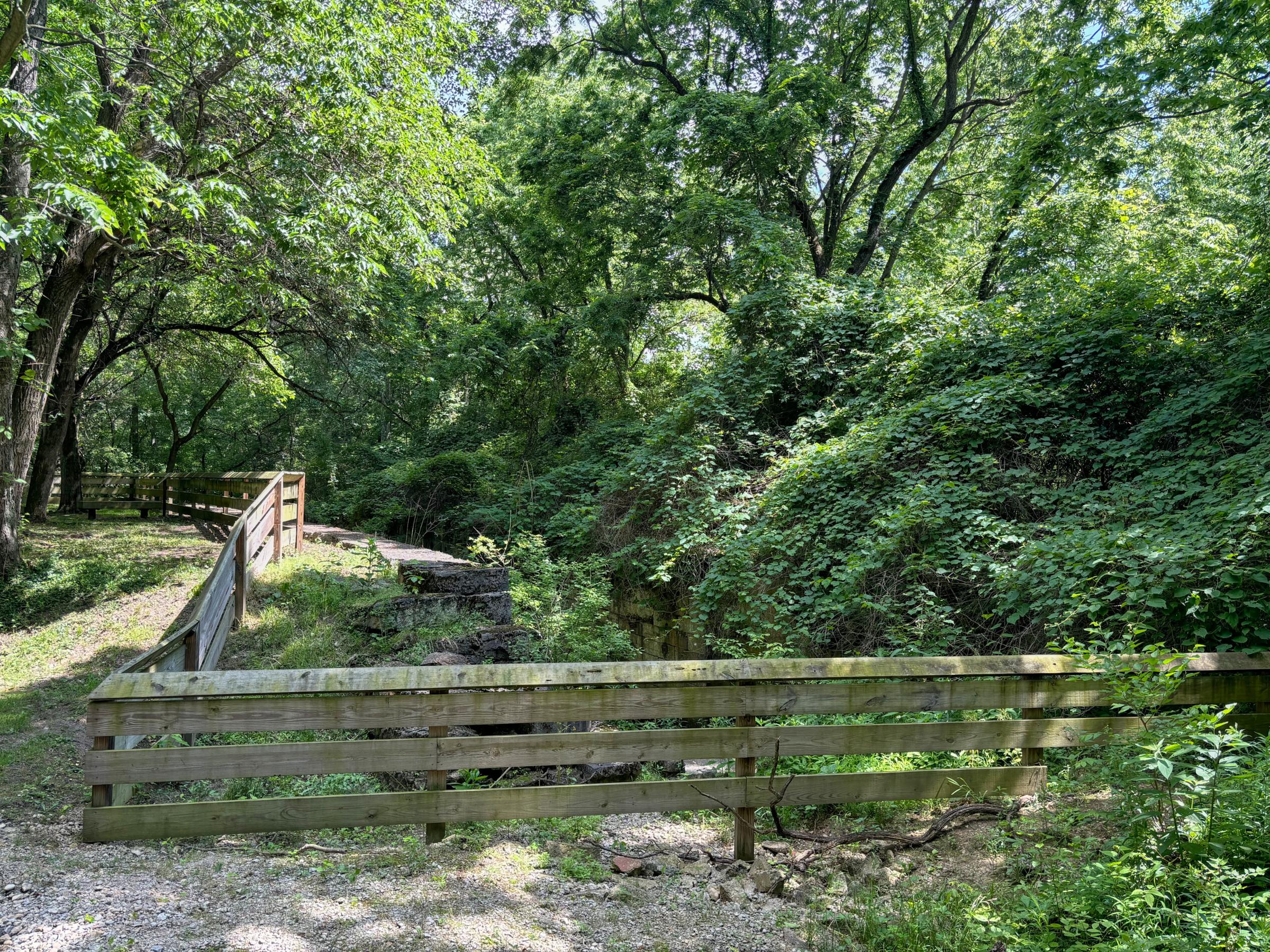 0310_IMG_3860