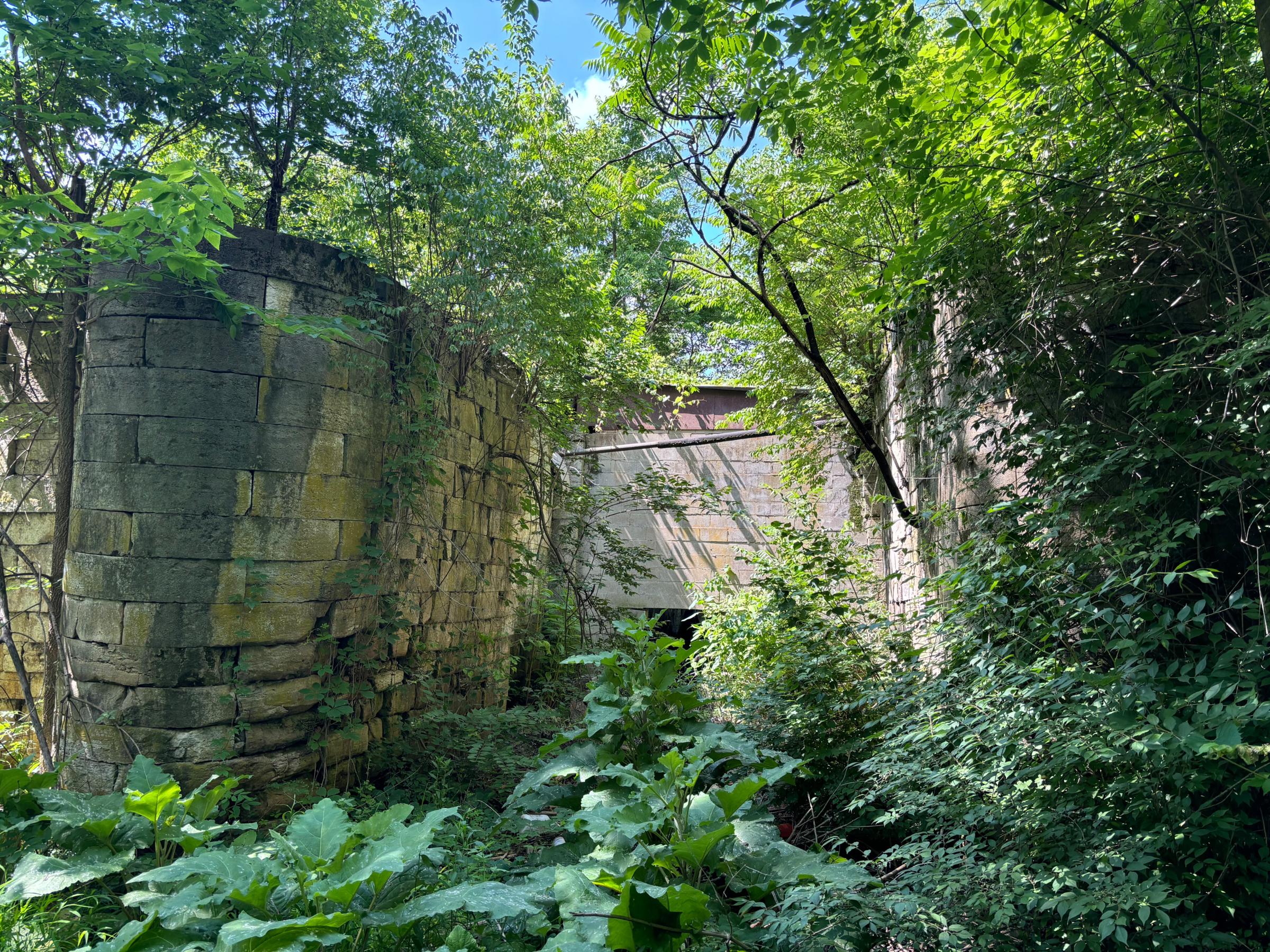 0319_IMG_3879