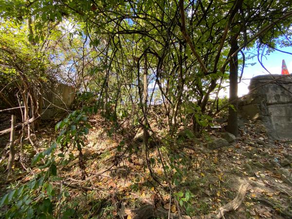 Remnants of the Miami & Erie Canal Sharonville Aqueduct near the I-75 & I-275 interchange and CDC Dubois Chemicals