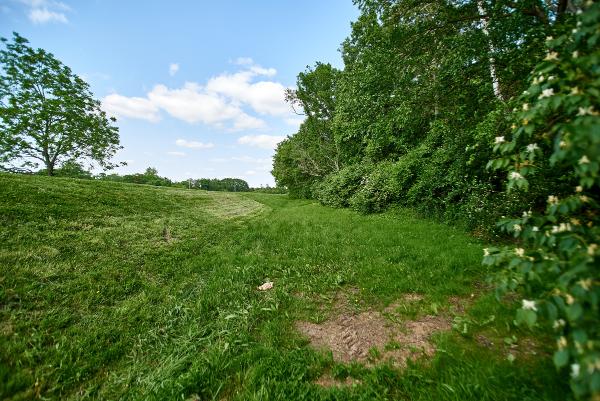 Miami & Erie Canal just above the Excello lock
