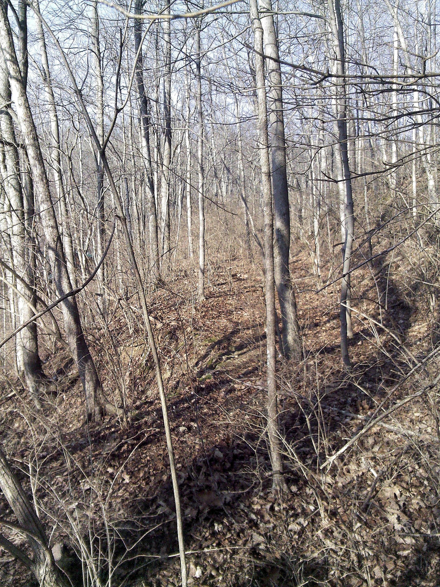 0021_IMG_20130126_153407