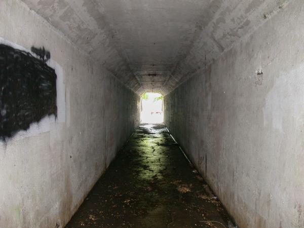 Indiana & Ohio Oasis, former Pennsylvania/Little Miami Railroad pedestrian underpass along Walworth Avenue in Columbia-Tusculum