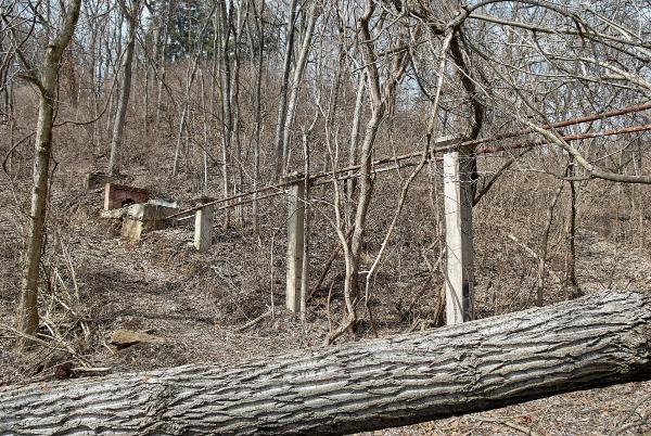 Mariemont's abandoned steam pipes