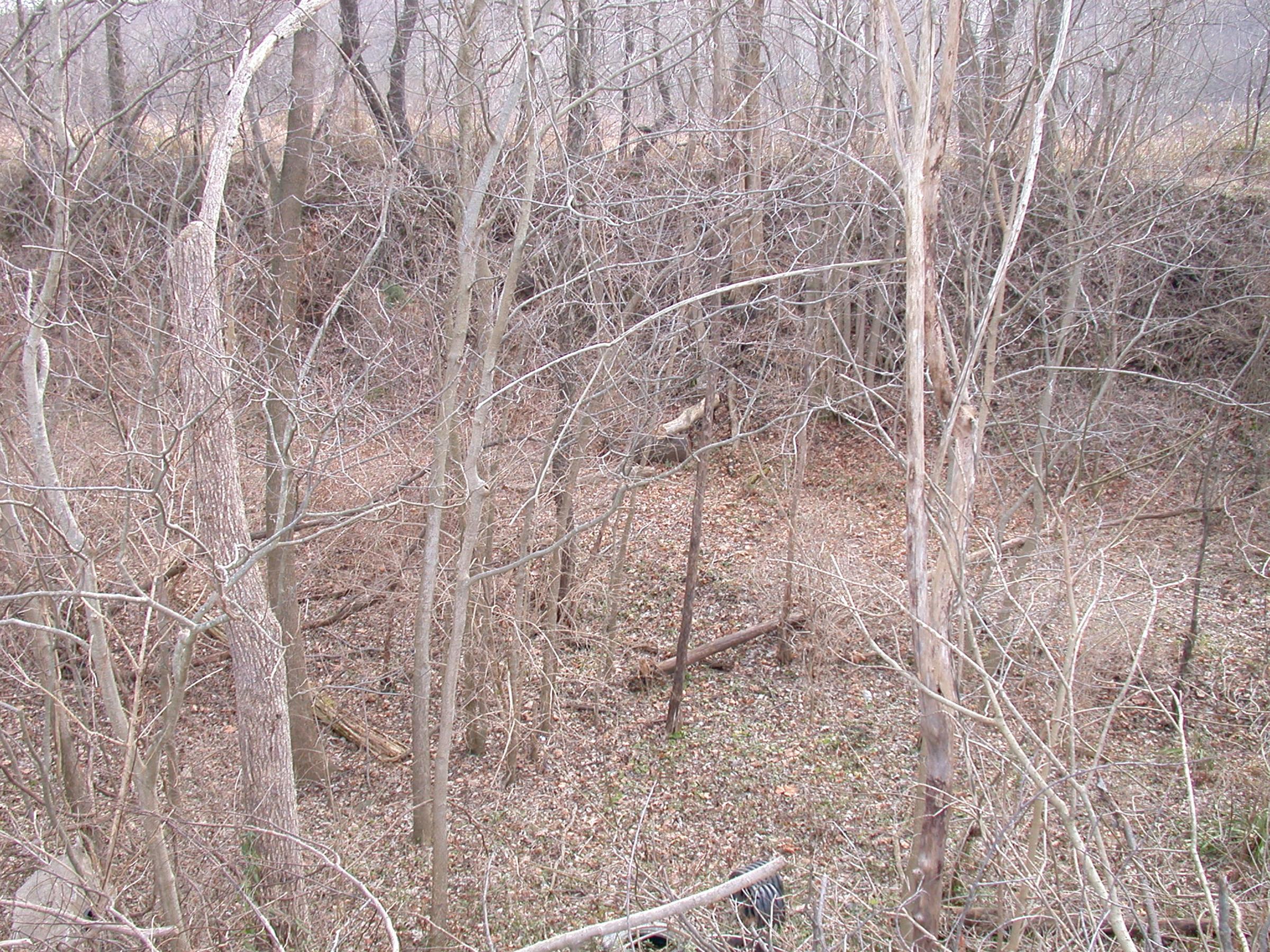 0009_Pennsylvania-LittleMiamiRailroad-64