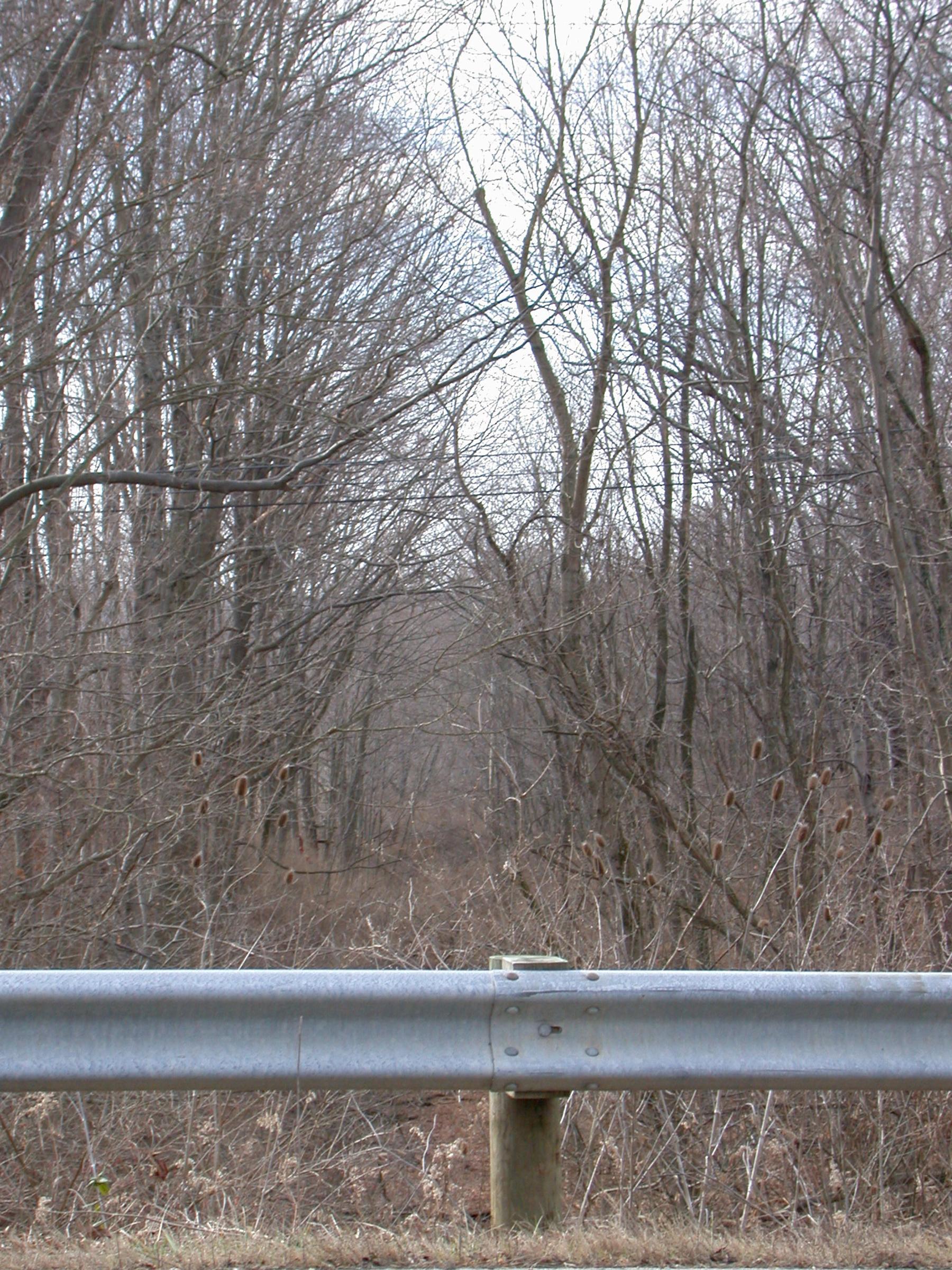 0010_Pennsylvania-LittleMiamiRailroad-65