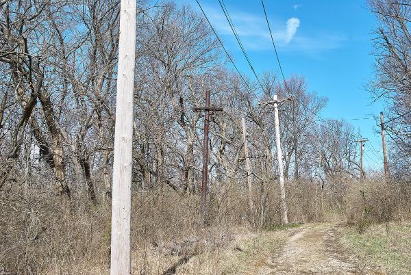 Power lines on the abandoned stretch of Torrence Road