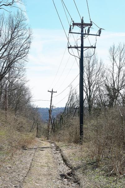 Looking south along the abandoned stretch of Torrence Road