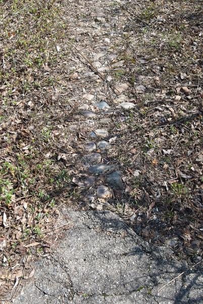 Cobblestone paving on the old Torrence Road