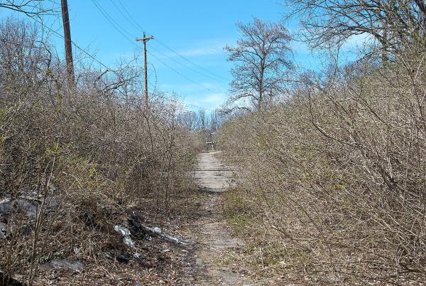 Looking north up the abandoned stretch of Torrence Road