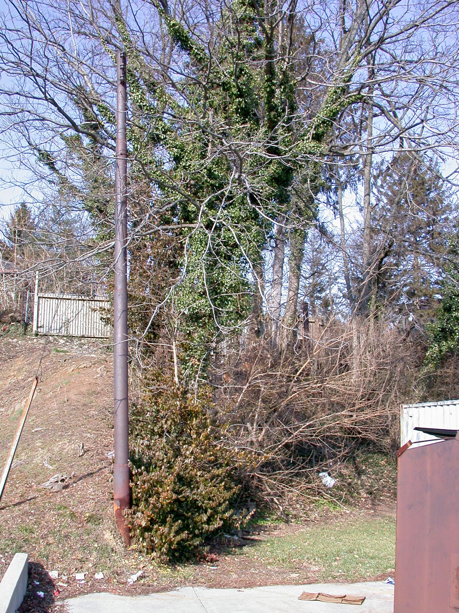 0022_EndofLineLoops-13