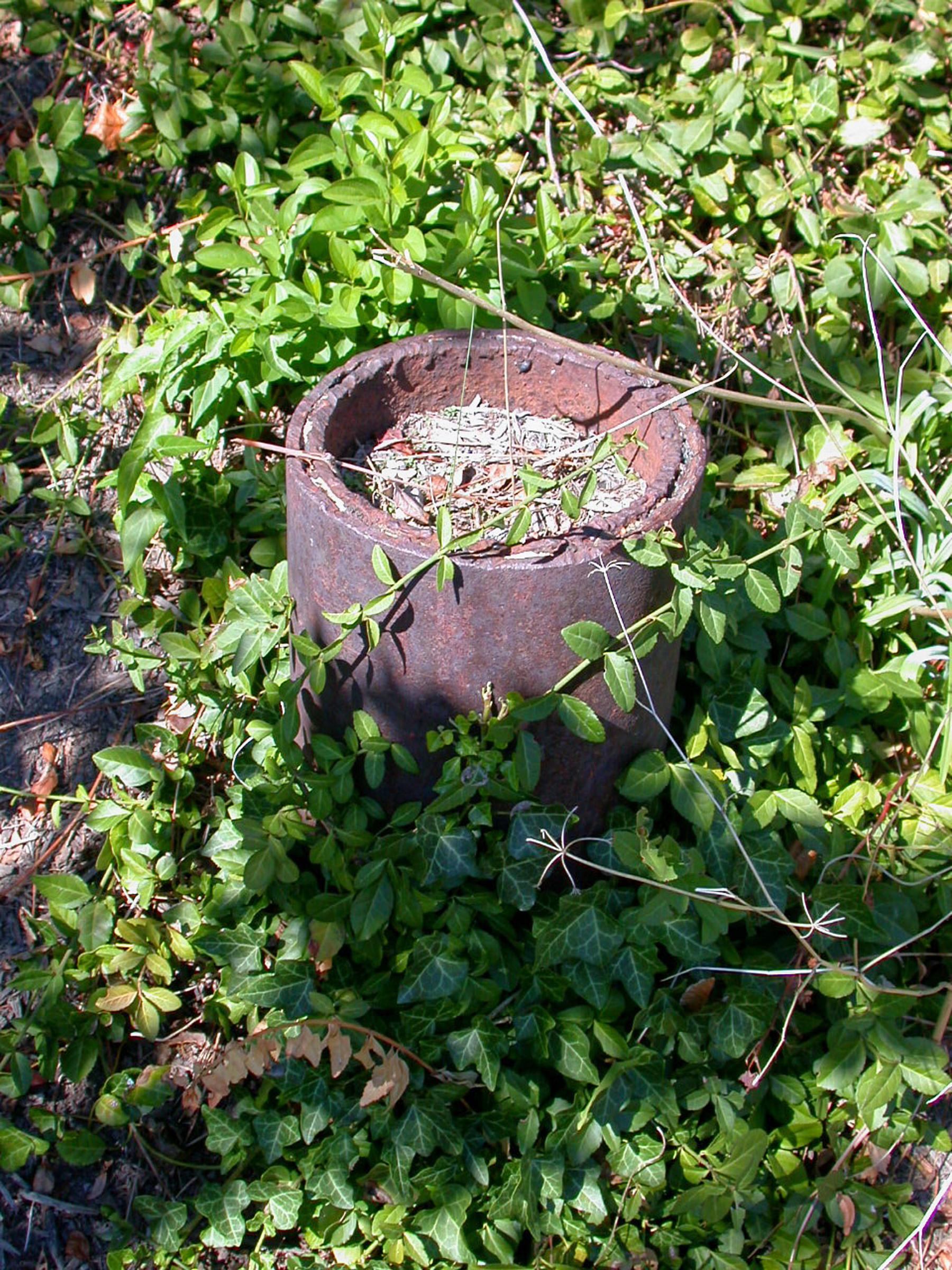 0002_TrolleyPoles-18