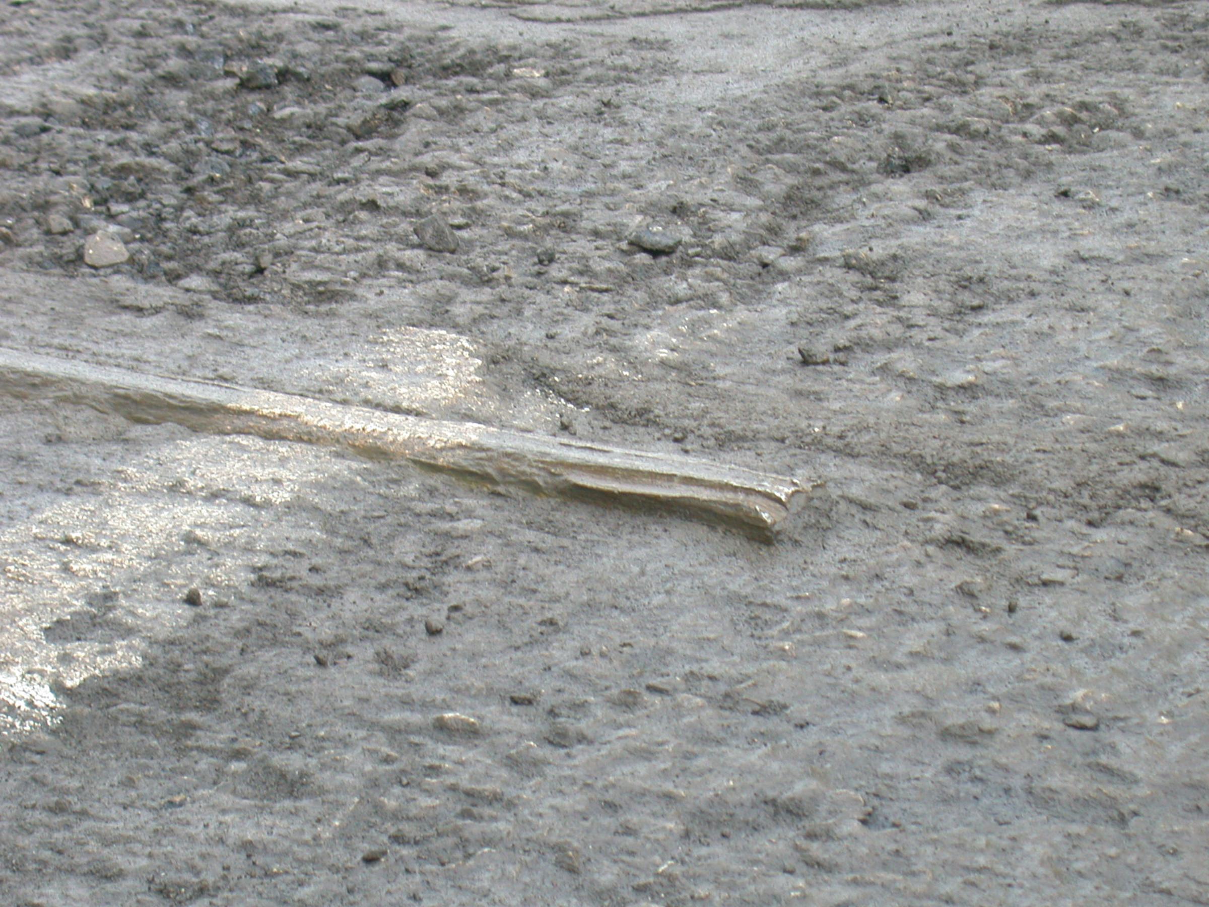 0014_RevealedTracks-17