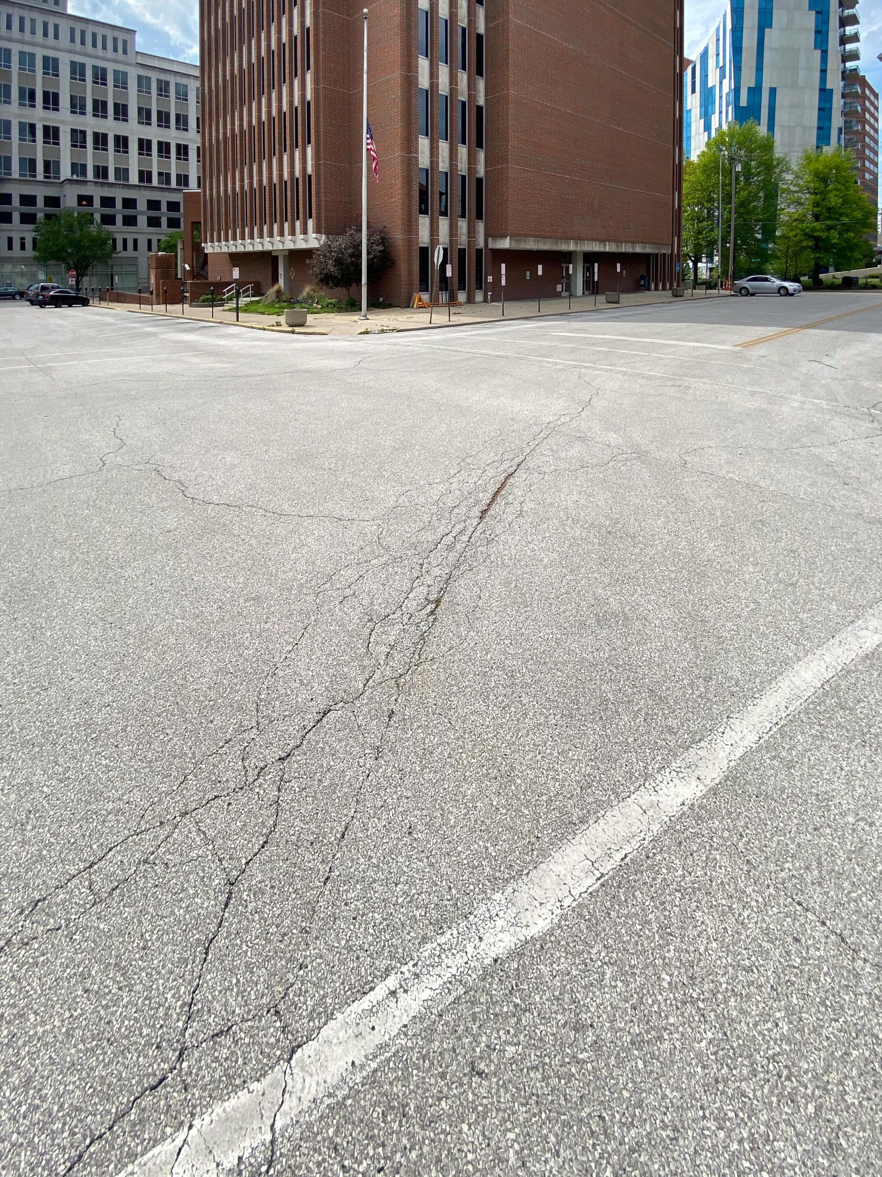 0002_IMG_7593