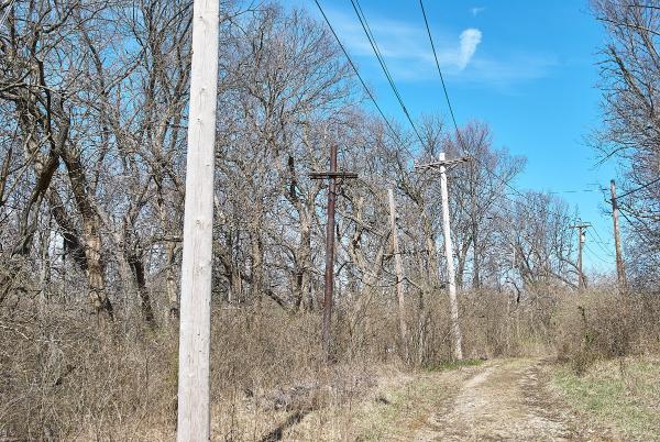Power lines on the abandoned stretch of Torrence Road