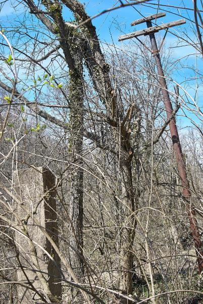 Yet another iron trolley pole along Torrence Road
