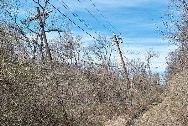 More leaning poles along Torrence Road