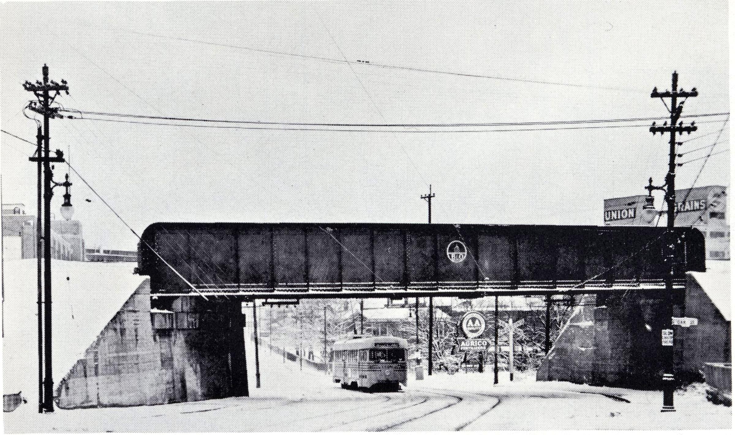 0004_vine_st_bernard_1940s