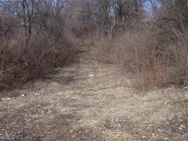 Subway right-of-way along the east edge of the Showcase Cinemas property in Bond Hill