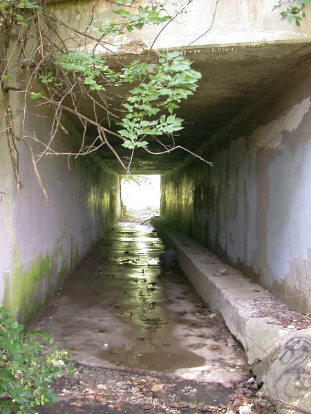 Close up of the mystery tunnel under the old PRR connection to the B&O line on the east side of Norwood's Waterworks Park