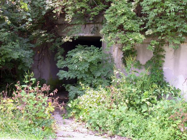 East portal of the mystery tunnel under the old PRR connection to the B&O line on the east side of Norwood's Waterworks Park